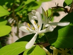 szk070415 018.01.jpg