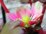 szk070415 027.01.jpg