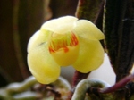 szk070417 005.01.jpg