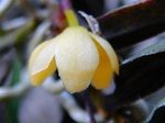 szk070417 008.01.jpg