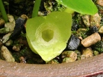szk070417 016.01.jpg