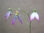 szk070419 005.02.jpg