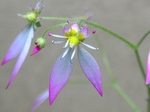 szk070419 006.01.jpg