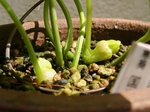 szk070419 012.01.jpg