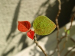 szk070419 027.01.jpg