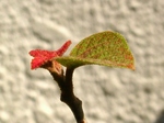szk070419 029.01.jpg
