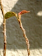 szk070419 030.01.jpg