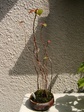 szk070420 002.01.jpg