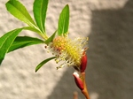 szk070420 004.01.jpg