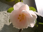 szk070421 008.01.jpg