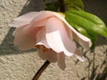 szk070421 010.01.jpg