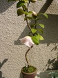 szk070421 012.01.jpg