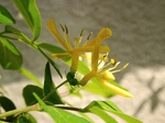 szk070421 014.01.jpg