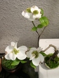 szk070423 011.01.jpg
