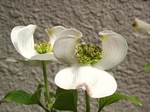 szk070423 013.01.jpg