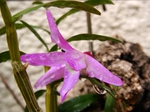 szk070423 019.01.jpg