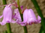 szk070423 024.01.jpg