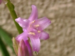 szk070423 025.01.jpg