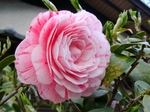 szk070423 032.01.jpg