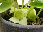 szk070424 003.01.jpg