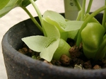 szk070424 005.01.jpg