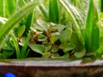 szk070424 019.01.jpg