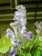szk070426 004.01.jpg