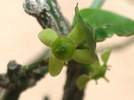szk070427 001.01.jpg