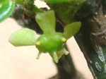 szk070427 002.01.jpg