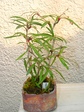 szk070427 011.01.jpg