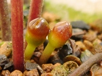 szk070427 012.01.jpg