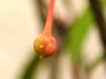 szk070427 016.01.jpg