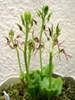 szk070501 014.01.jpg