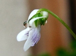 szk070503 004.01.jpg
