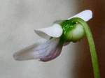 szk070503 011.01.jpg