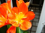 szk070503 013.01.jpg