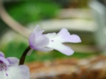 szk070504 011.01.jpg
