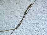 szk070504 021.01.jpg