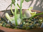 szk070505 009.01.jpg