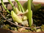 szk070505 010.01.jpg