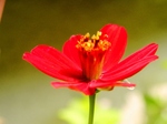 szk070505 016.01.jpg