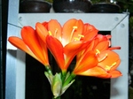 szk070506 002.01.jpg
