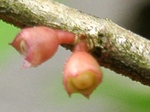 szk070514 006.01.jpg