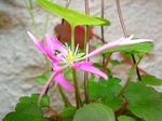 szk070514 011.01.jpg