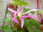 szk070514 012.01.jpg