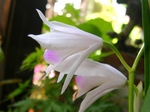 szk070514 020.01.jpg