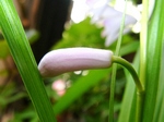 szk070514 021.01.jpg