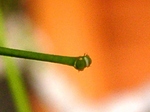 szk070516 003.01.jpg