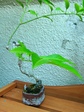szk070522 001.01.jpg