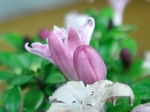szk070522 012.01.jpg